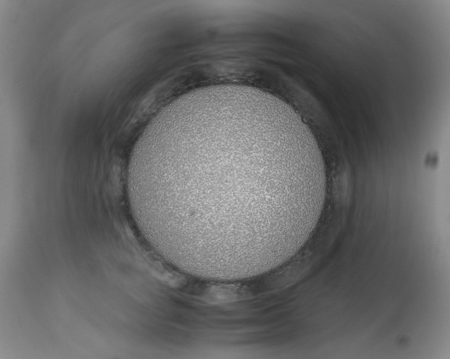 X0000113150757200909251327