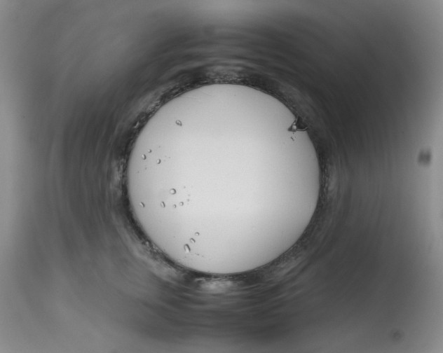 X0000113150759200909251327