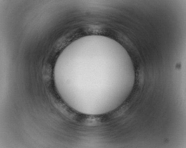 X0000113150760200909251328