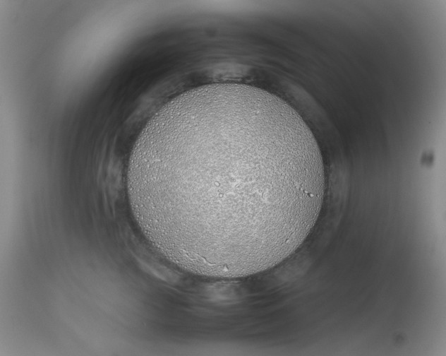 X0000113150761200909251328