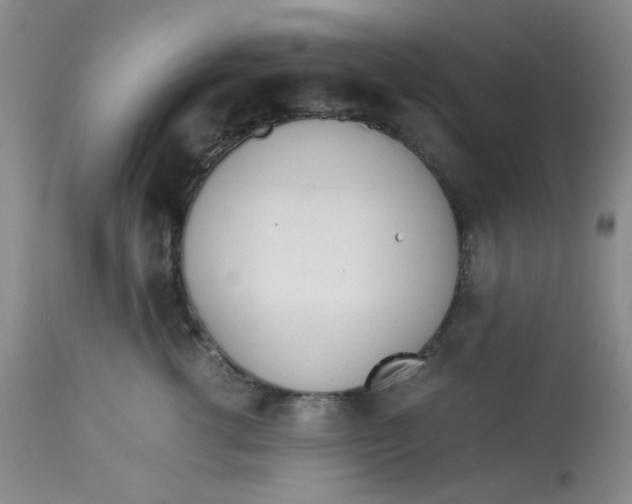 X0000113150762200909251328