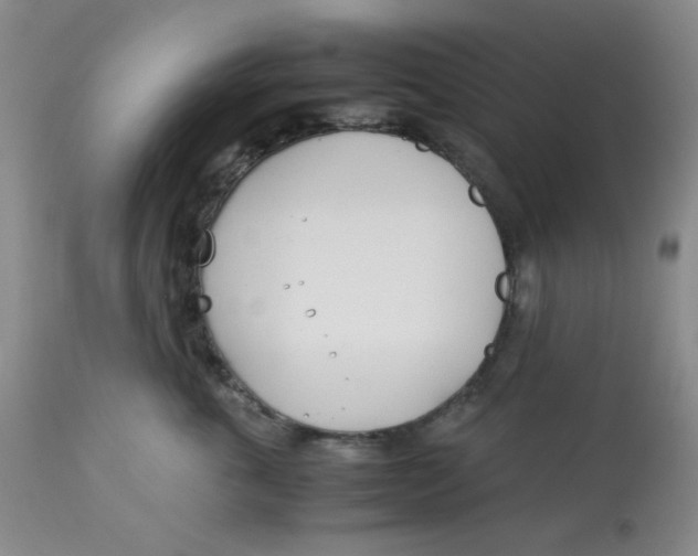 X0000113150763200909251328