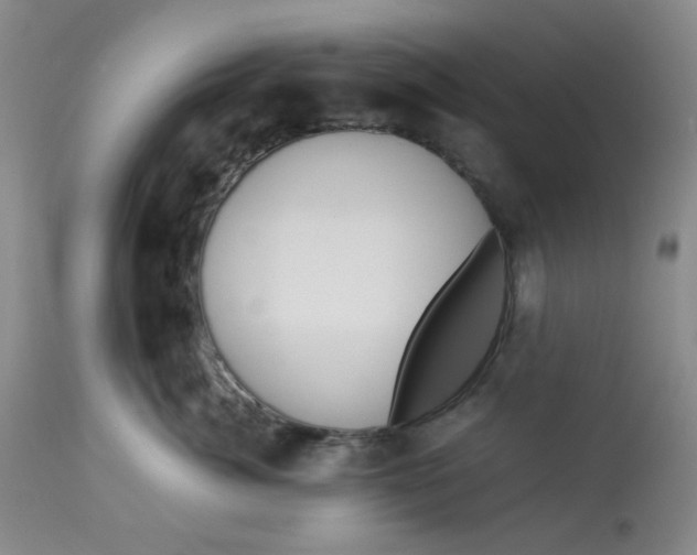 X0000113150764200909251328