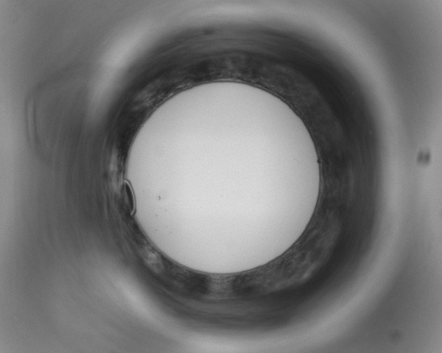 X0000113150766200909251328