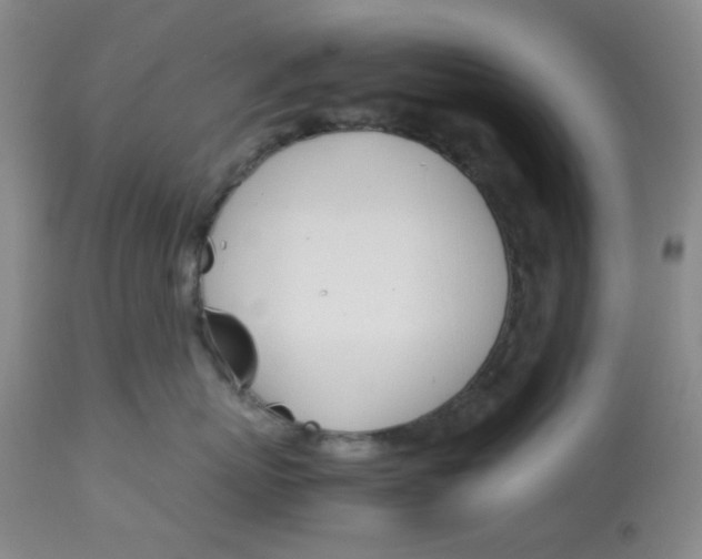 X0000113150767200909251328