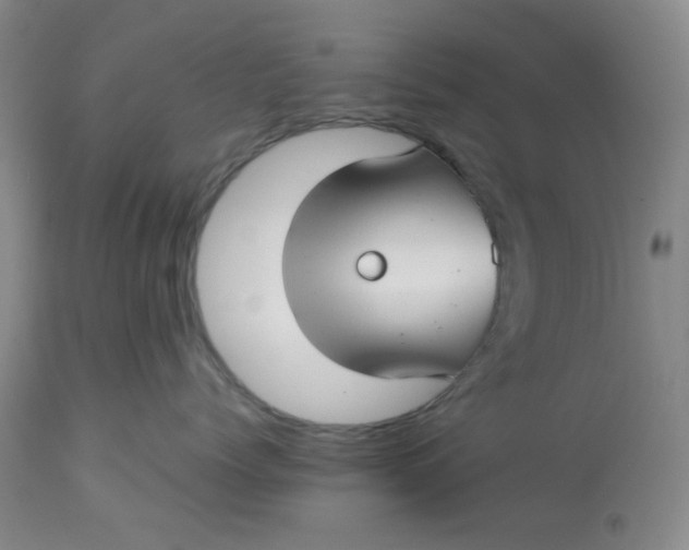 X0000113150768200909251328