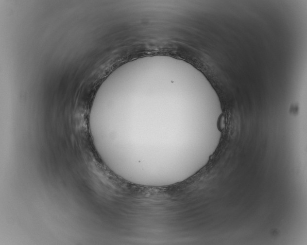 X0000113150770200909251327