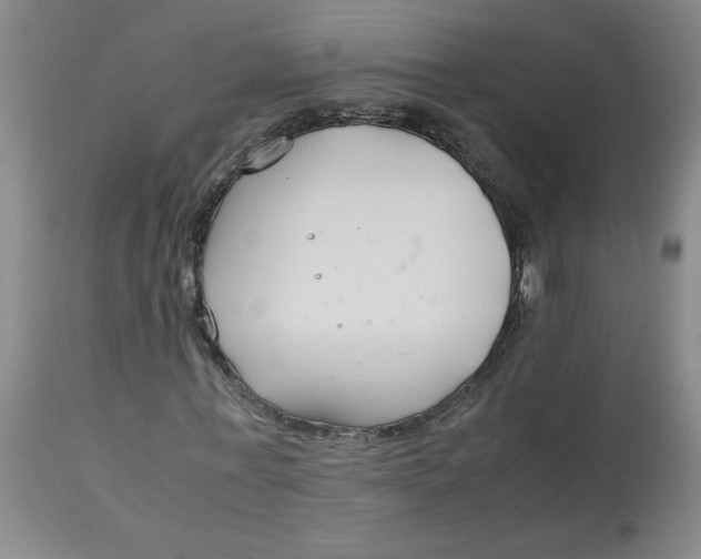 X0000113150771200909251327