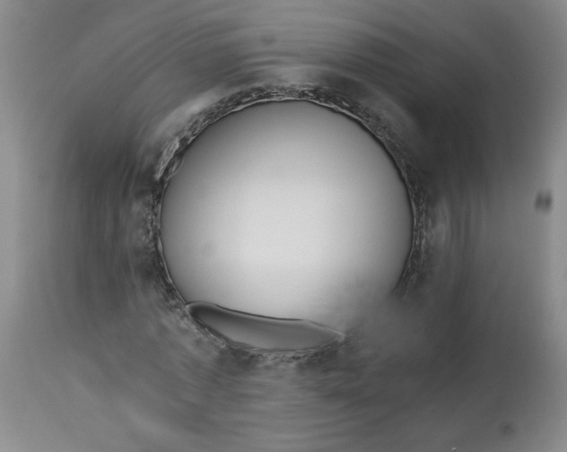 X0000113150773200909251327