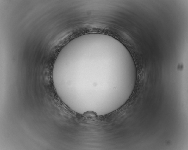 X0000113150774200909251327