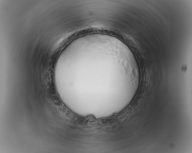 X0000113150776200909251327