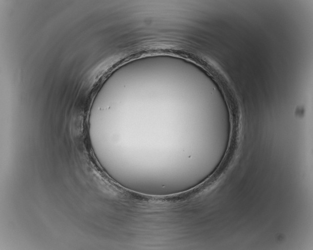 X0000113150777200909251327