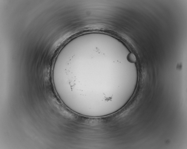 X0000113150778200909251327