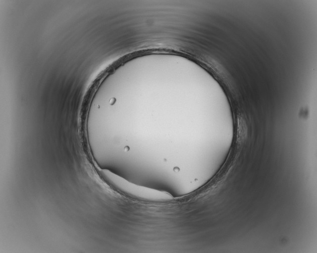 X0000113150780200909251327