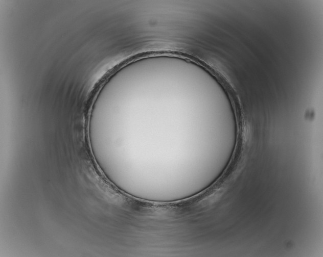 X0000113150781200909251327