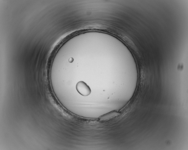 X0000113150784200909251326