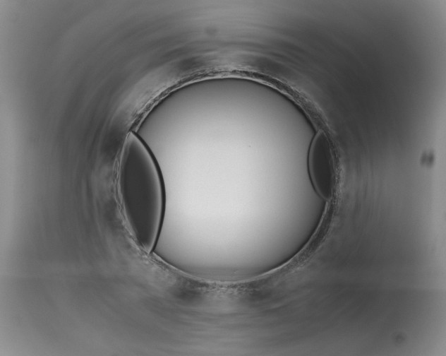 X0000113150785200909251326