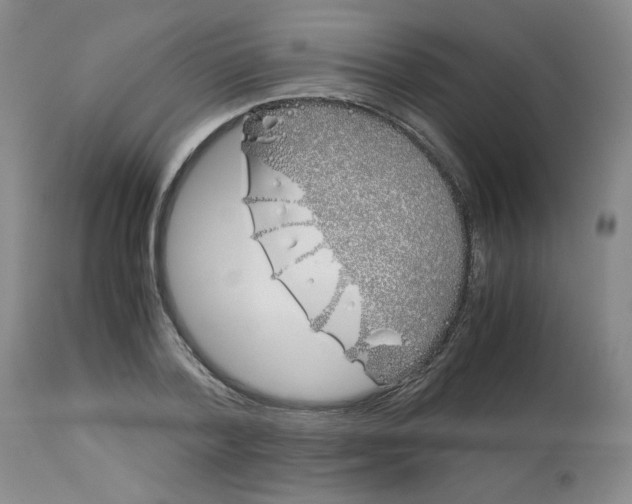 X0000113150788200909251326