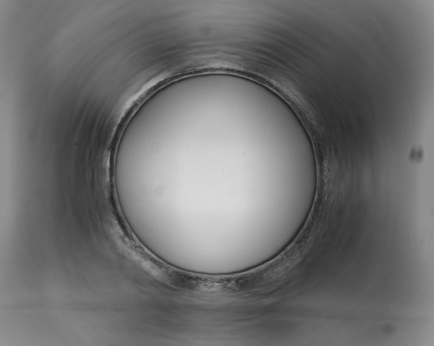 X0000113150790200909251326