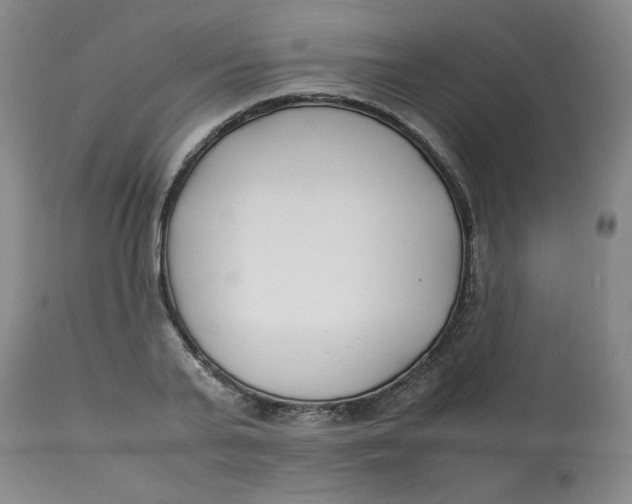 X0000113150791200909251326