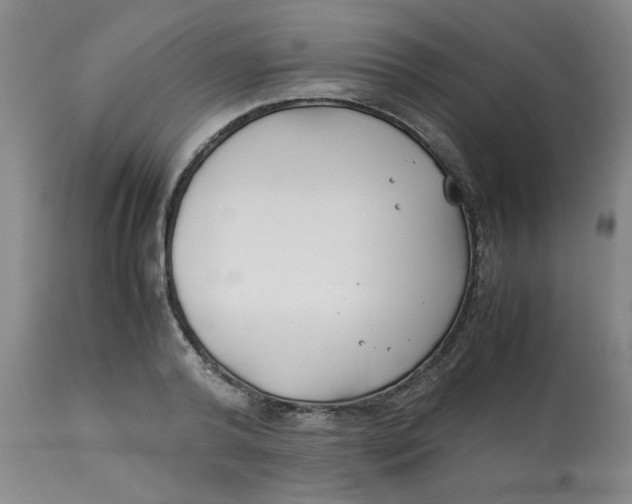 X0000113150792200909251326