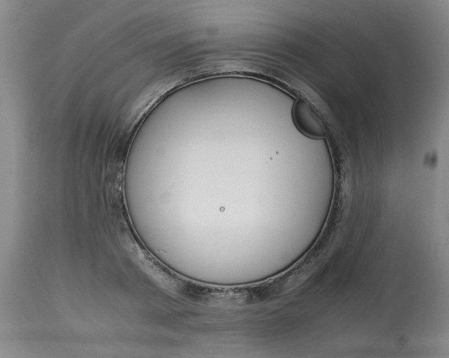 X0000113150793200909251326