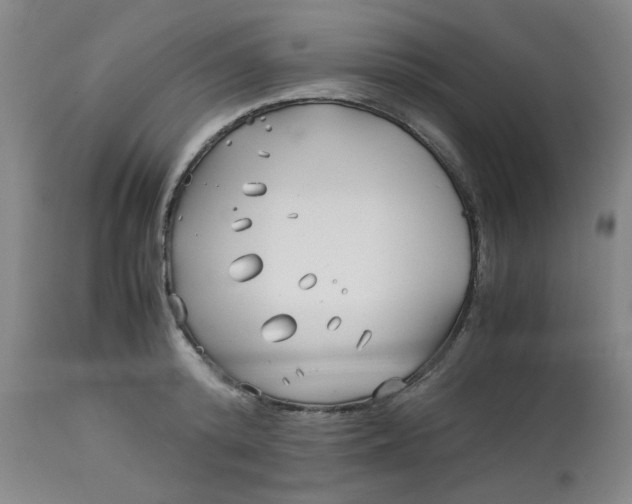 X0000113150800200909251326