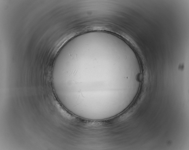 X0000113150801200909251326