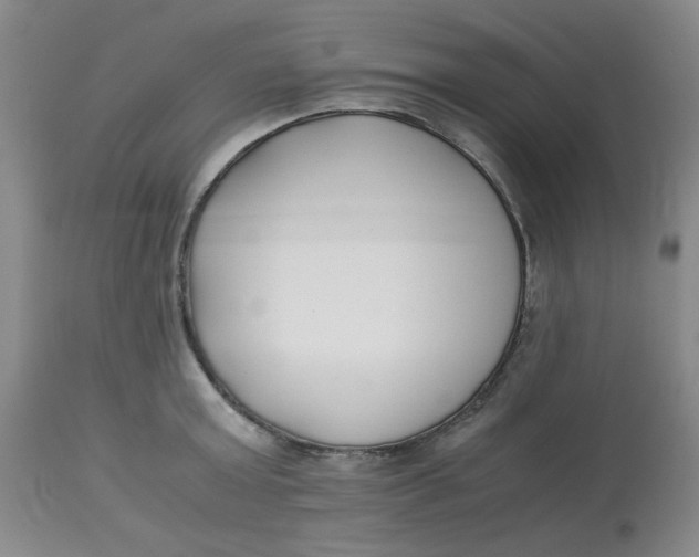 X0000113150803200909251326