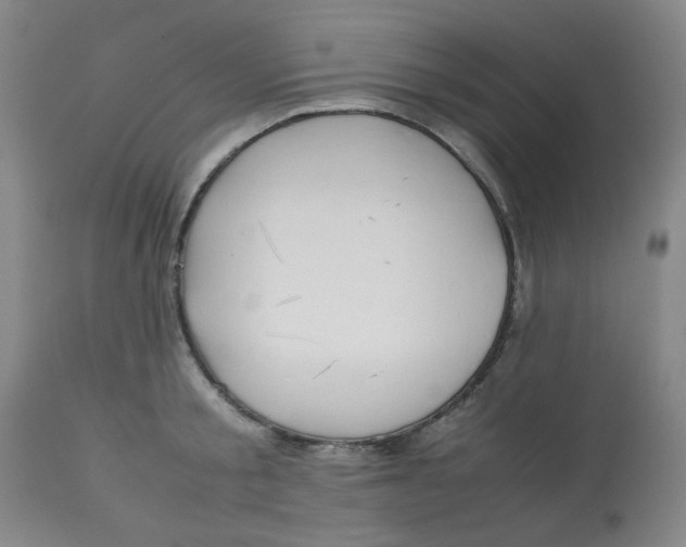 X0000113150805200909251326