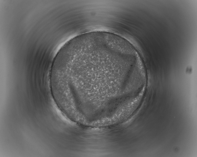 X0000113150806200909251326