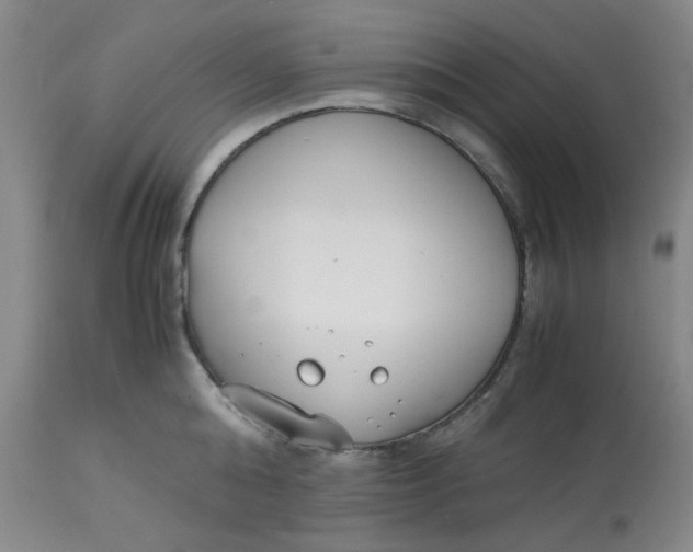 X0000113150808200909251326