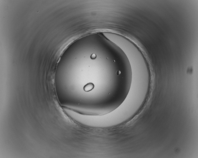 X0000113150809200909251326