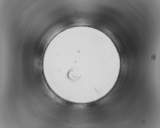 X0000113150810200909251326