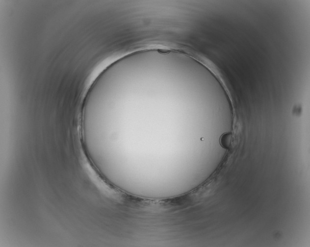 X0000113150811200909251326