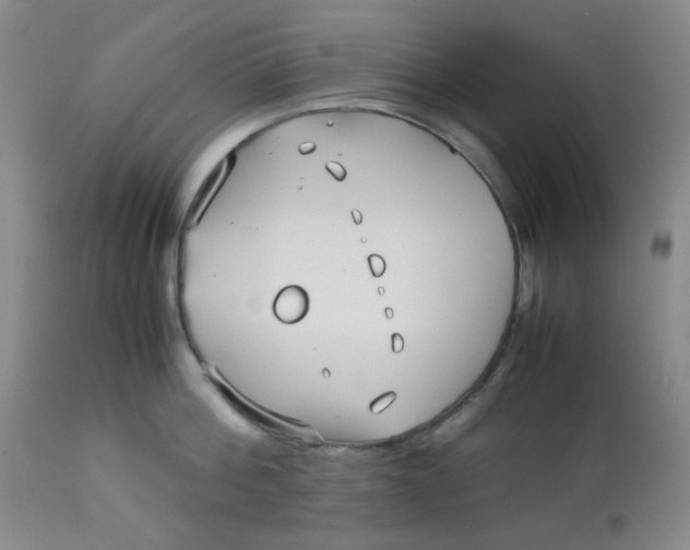 X0000113150812200909251326