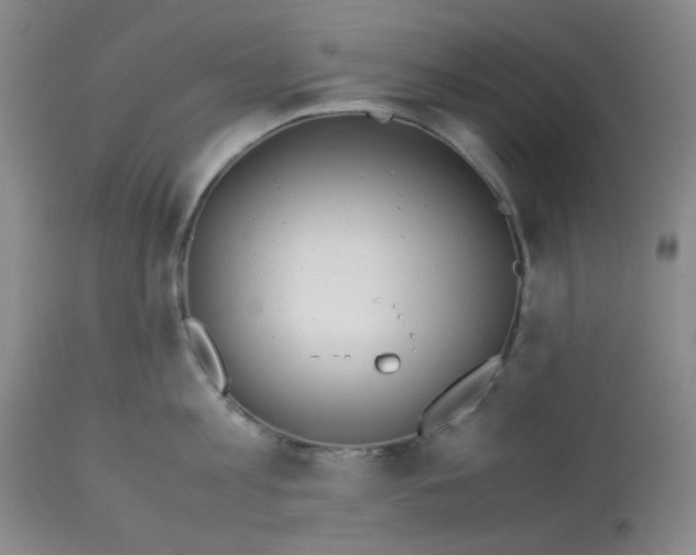 X0000113150813200909251326