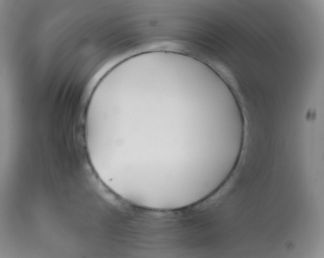 X0000113150816200909251326