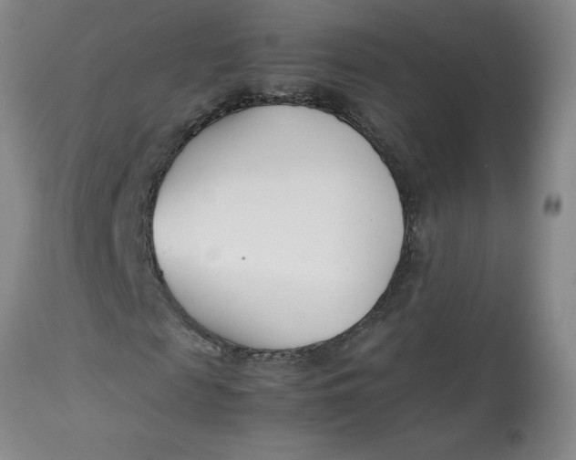 X0000113150817200909251325