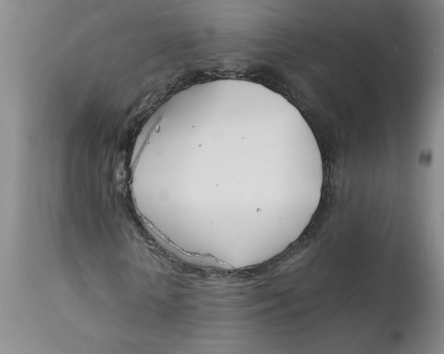 X0000113150818200909251325