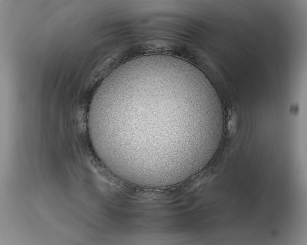 X0000113150819200909251325