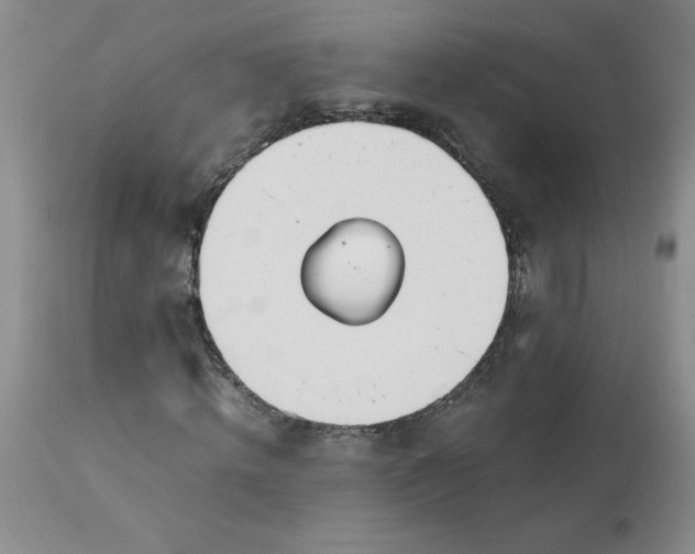 X0000113150820200909251325