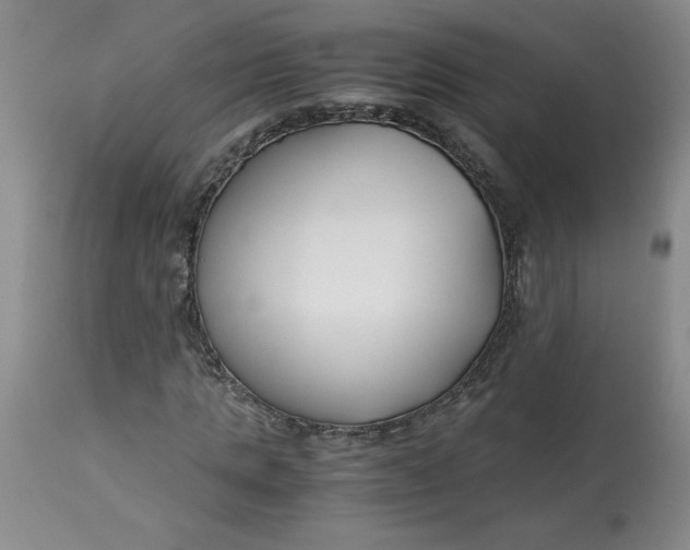 X0000113150821200909251325