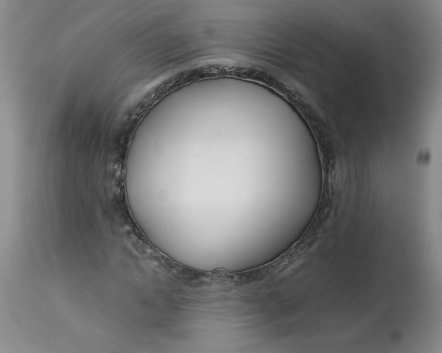 X0000113150822200909251325