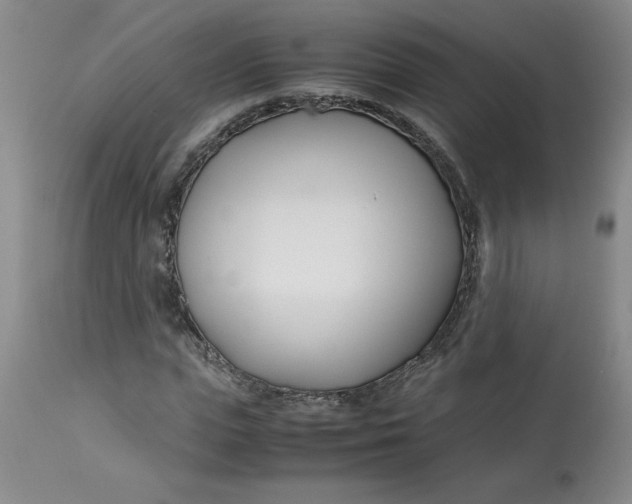 X0000113150823200909251325