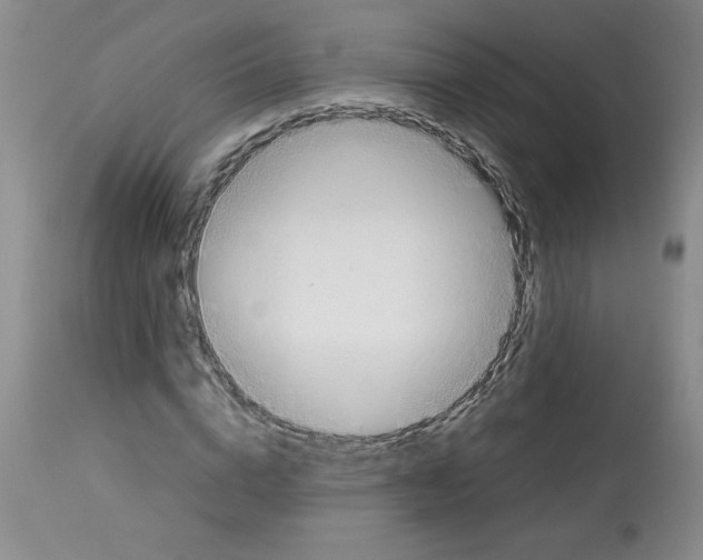 X0000113150824200909251325