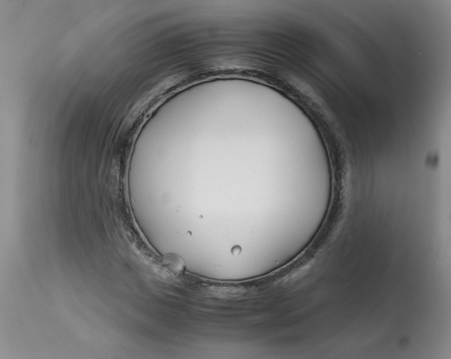 X0000113150825200909251325