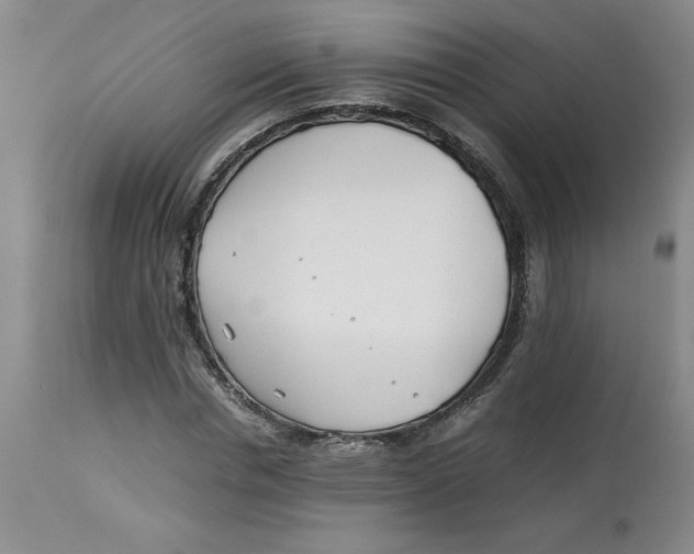 X0000113150826200909251325