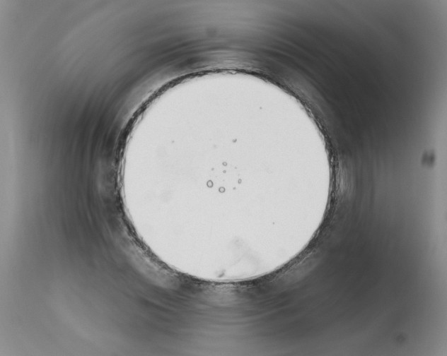 X0000113150828200909251326