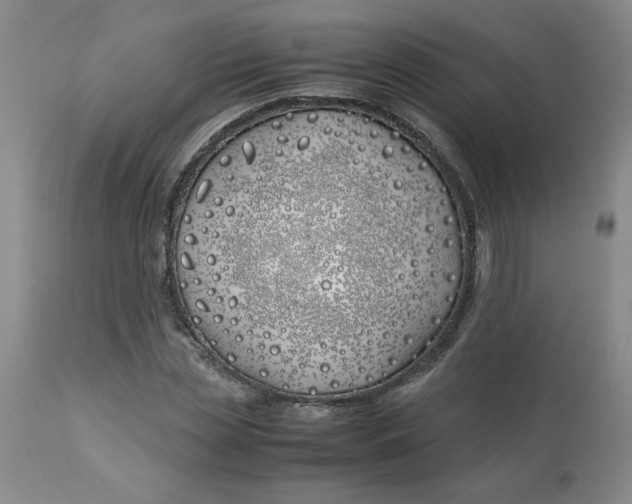 X0000113150829200909251326